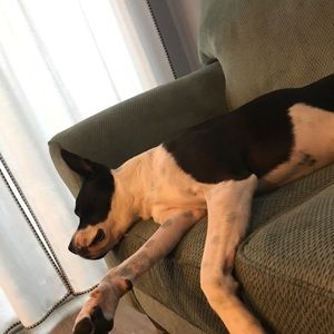 Meet your Posher, Brooke